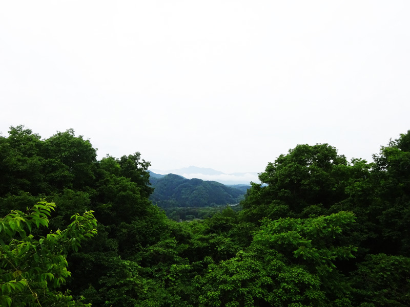 e0192725_17085736.jpg