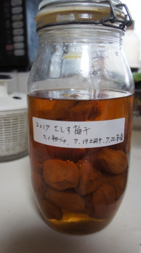 e0166734_21134006.jpg