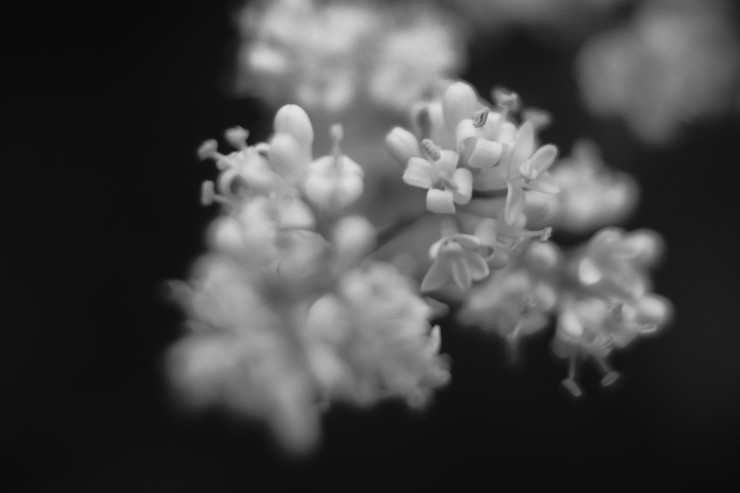 e0342136_17233062.jpg