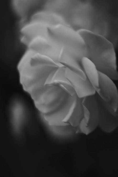 e0342136_17235876.jpg