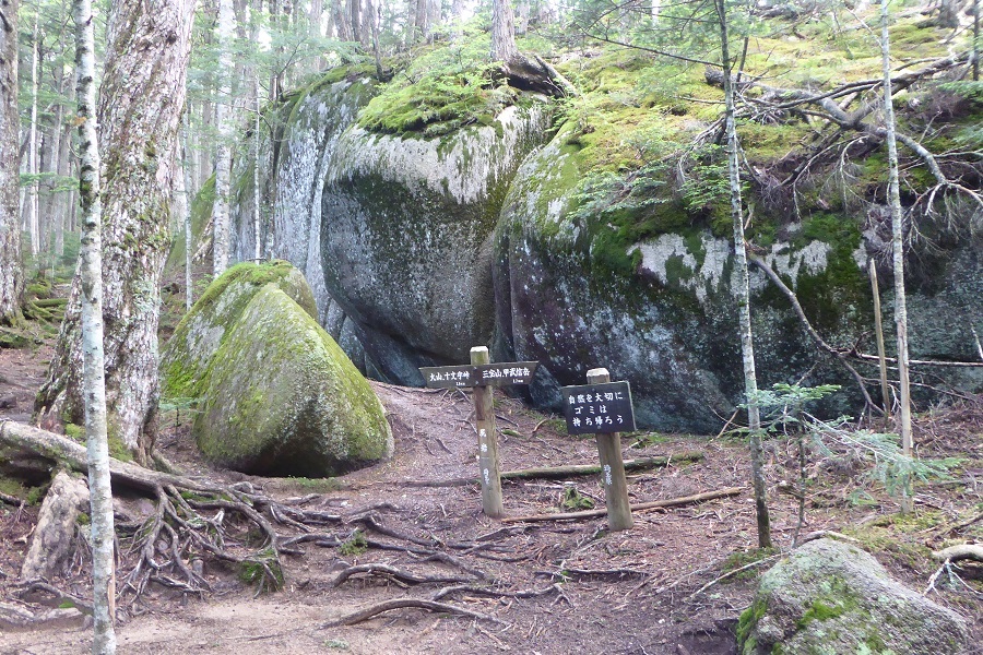 d0288144_08332729.jpg