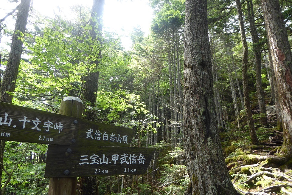 d0288144_08340107.jpg