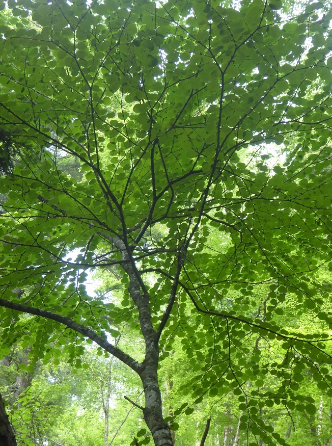d0288144_08353092.jpg