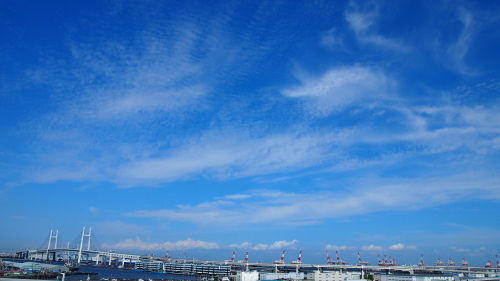 e0201648_08113593.jpg