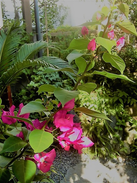 f0329849_23163732.jpg