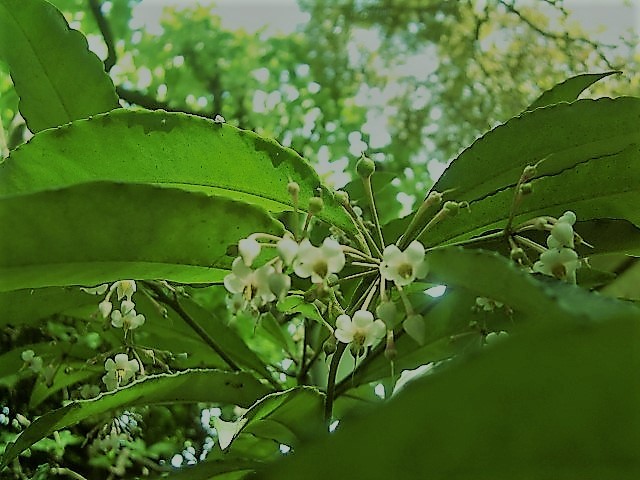 f0329849_23173066.jpg