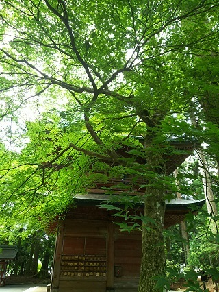 b0118850_09394743.jpg