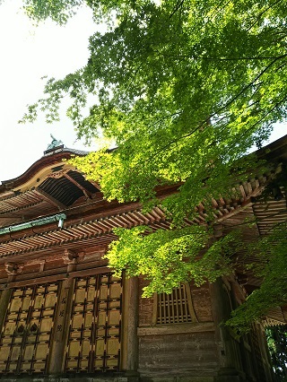 b0118850_09533280.jpg