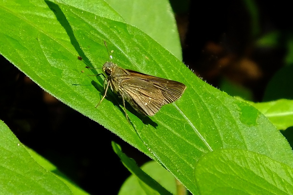 b0236251_15123687.jpg
