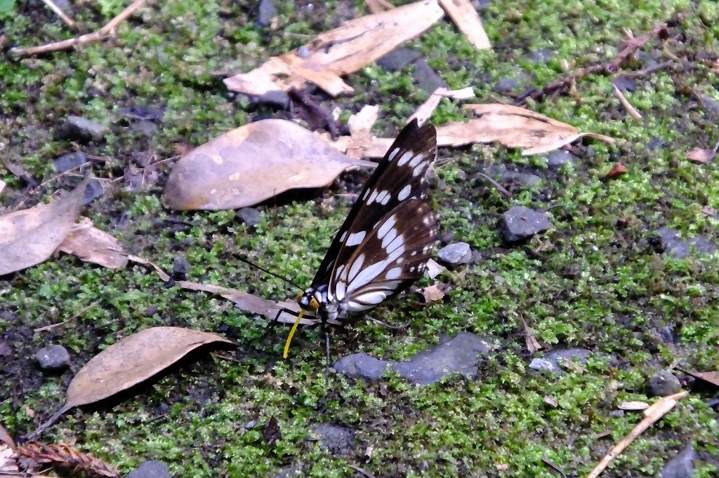 b0236251_15143225.jpg