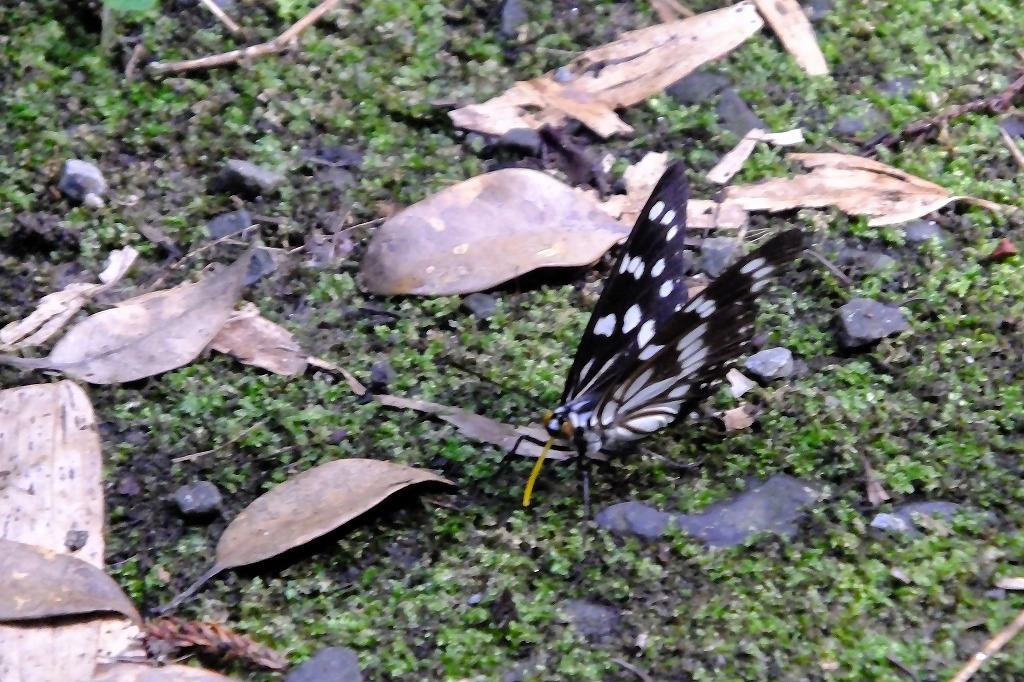 b0236251_15143615.jpg