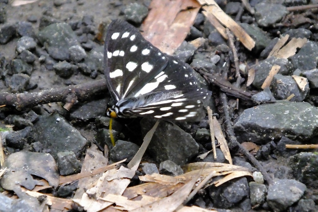 b0236251_15144022.jpg