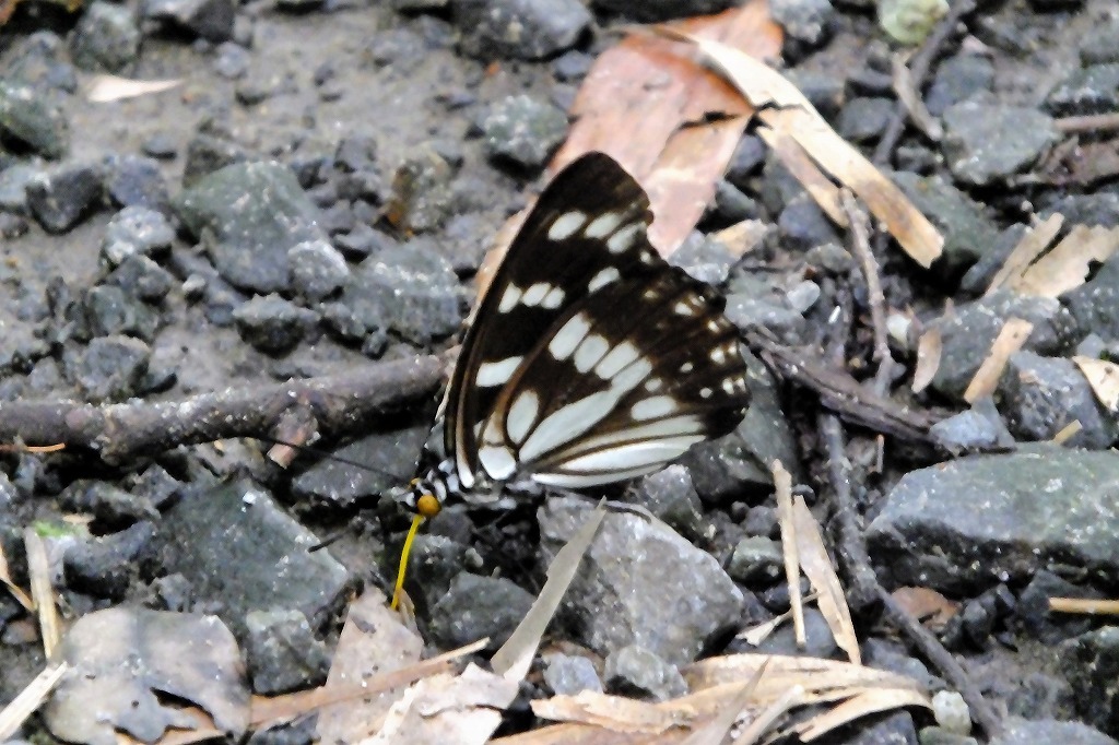 b0236251_15144312.jpg