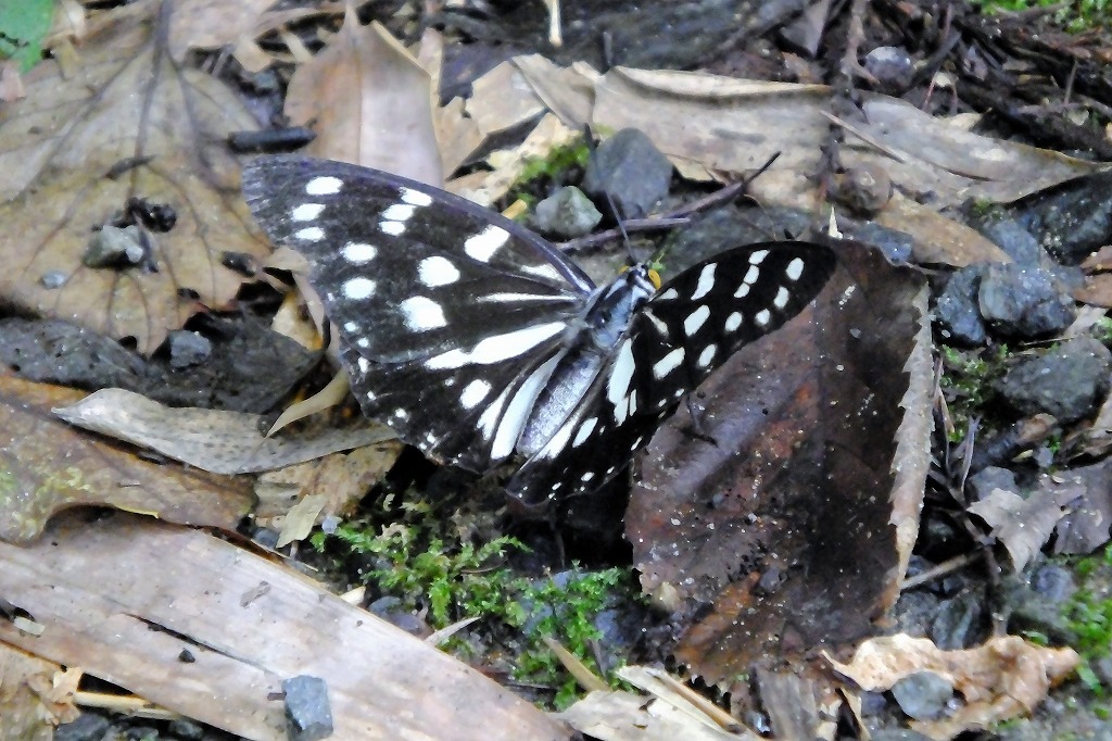 b0236251_15144661.jpg