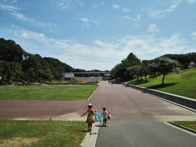 f0211752_13382292.jpg