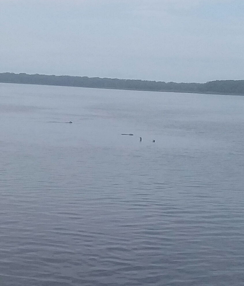 b0277159_07111184.jpg