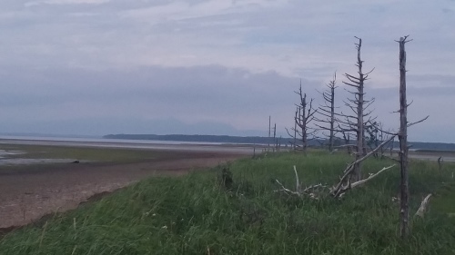 b0277159_07152142.jpg