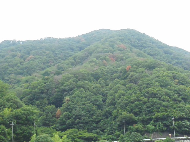 f0061067_2219181.jpg