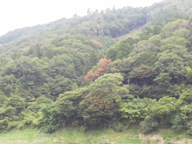 f0061067_22191846.jpg