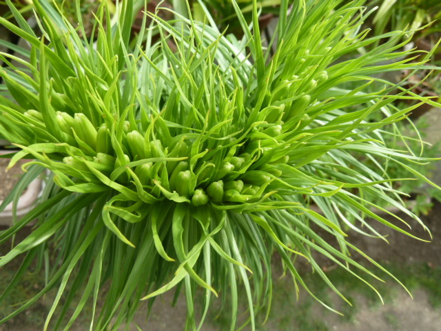 e0278968_22073137.jpg