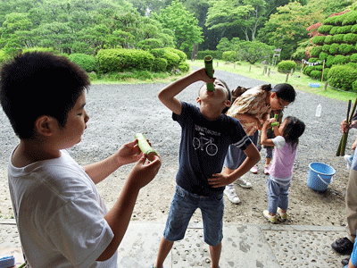 f0140773_14541456.gif