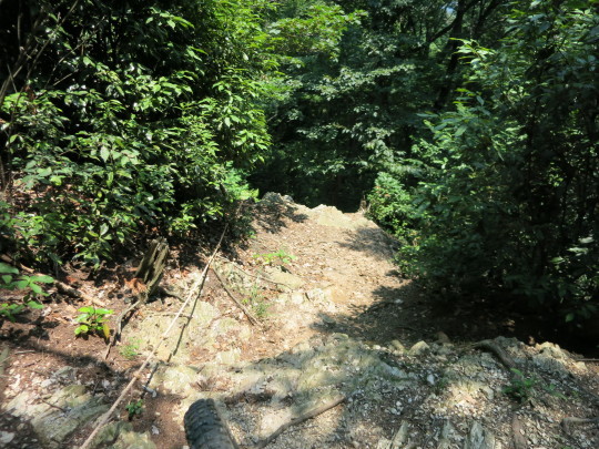 b0144174_20472949.jpg
