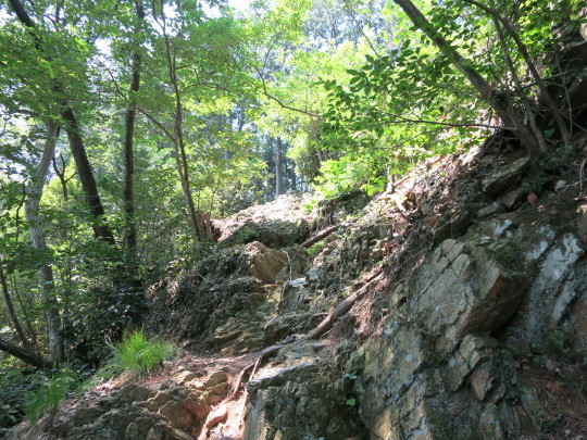 b0144174_20480266.jpg