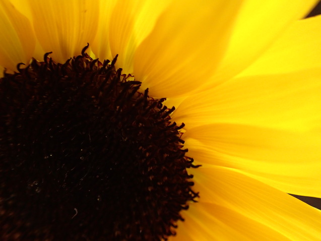 c0286574_8301698.jpg