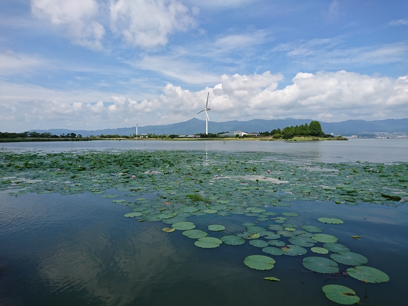 c0131875_6272529.jpg