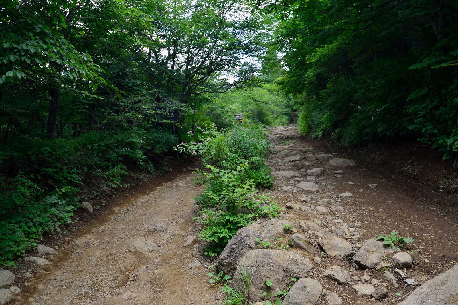 d0328977_10375496.jpg