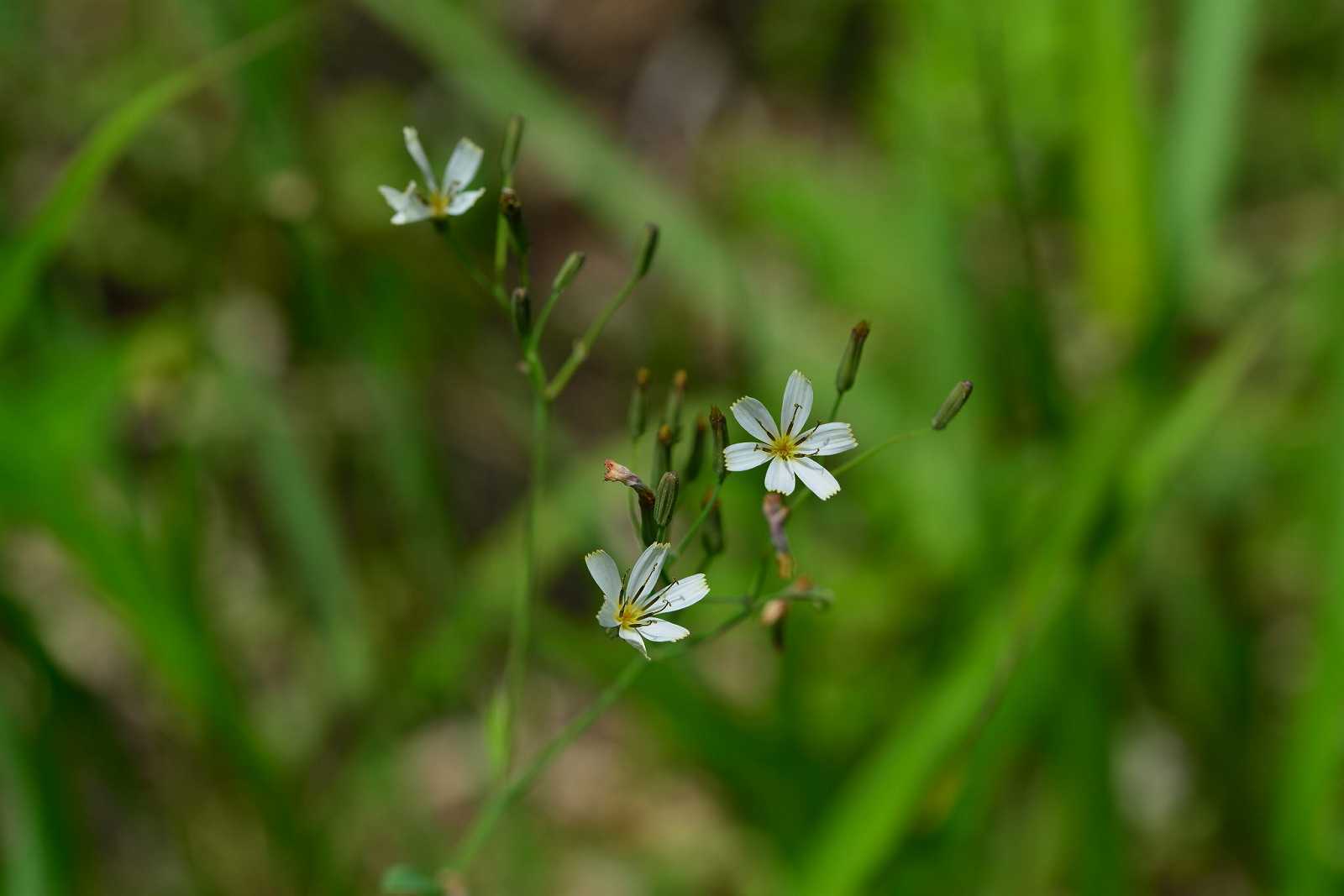 d0328977_10381292.jpg