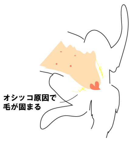 e0360877_09375656.jpg