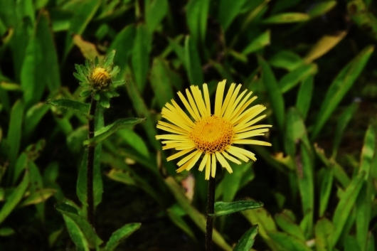 b0329186_06383267.jpg