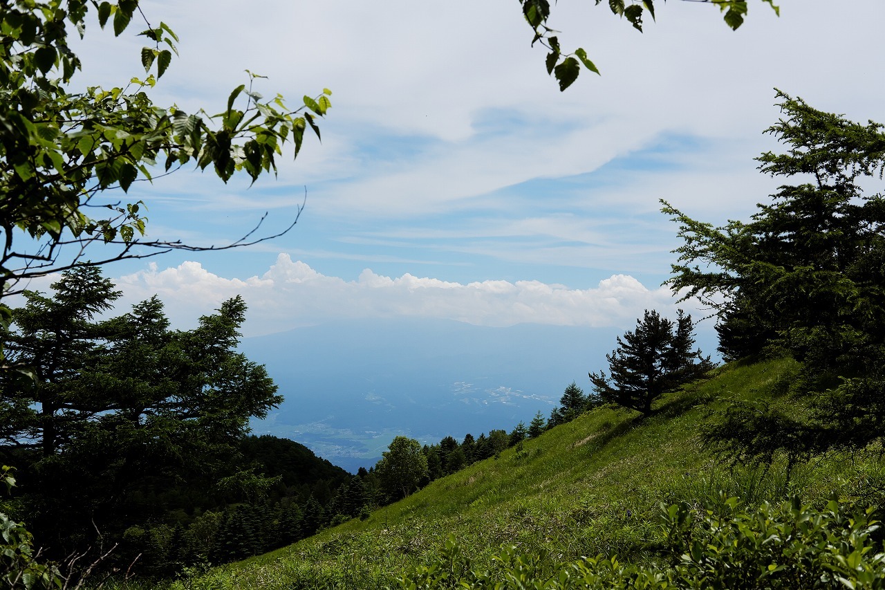 e0126386_20344389.jpg