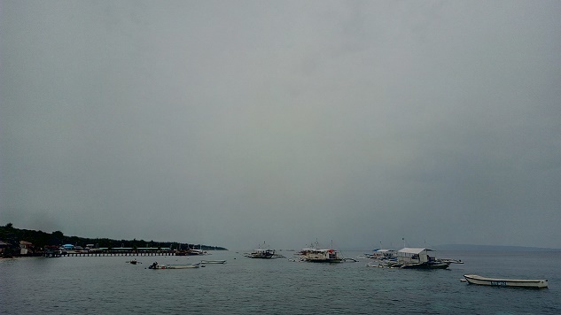 a0109187_08225012.jpg
