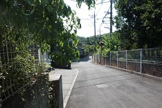 d0183387_00291449.jpg