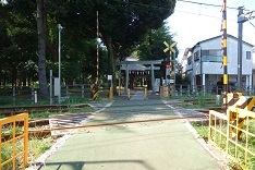 d0183387_10361428.jpg