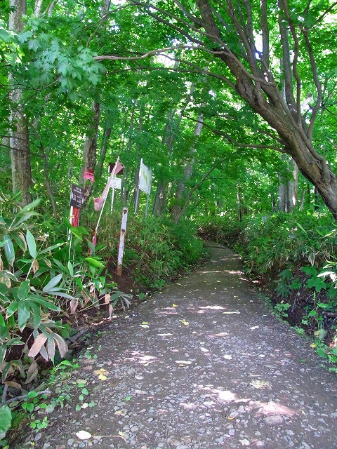 f0157901_12152047.jpg