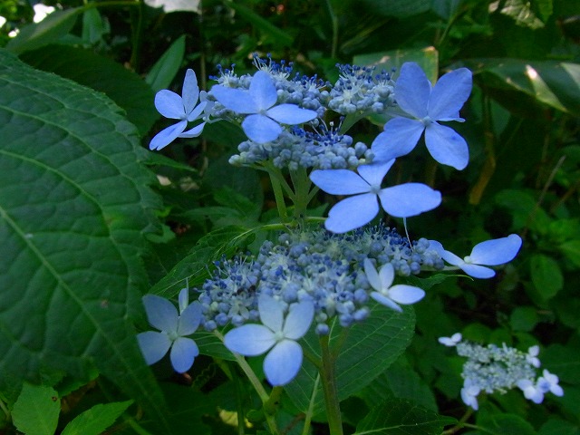 f0157901_1216180.jpg