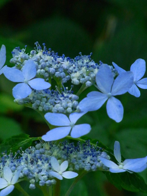 f0157901_12162255.jpg