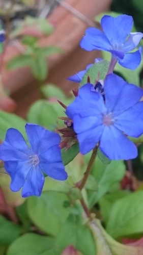 e0351303_00244752.jpg