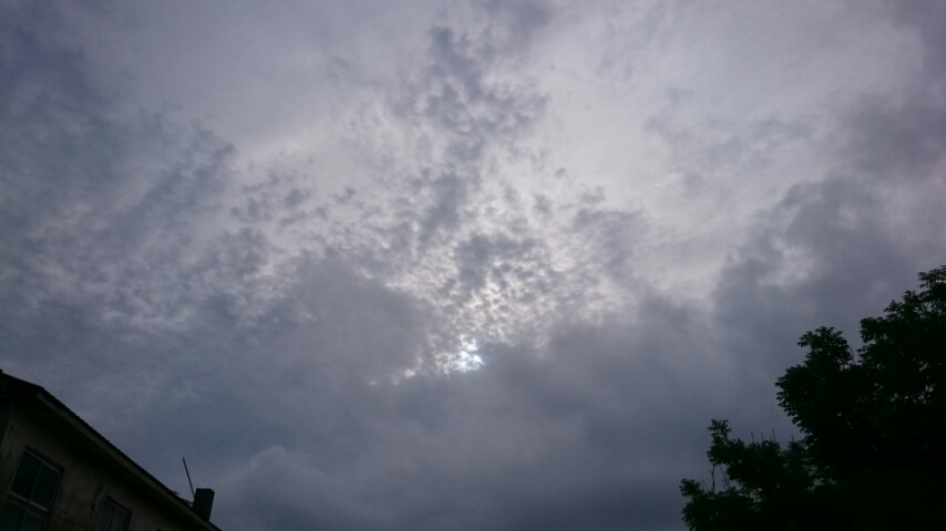 d0149105_7432740.jpg