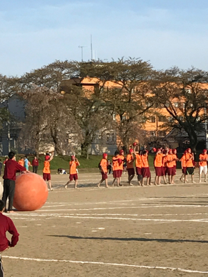 a0157010_11335063.jpg