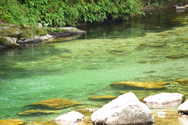 f0368610_01105926.jpg