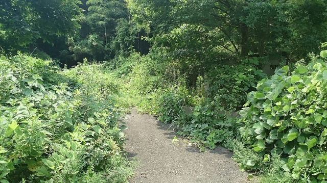 f0212511_21335856.jpg