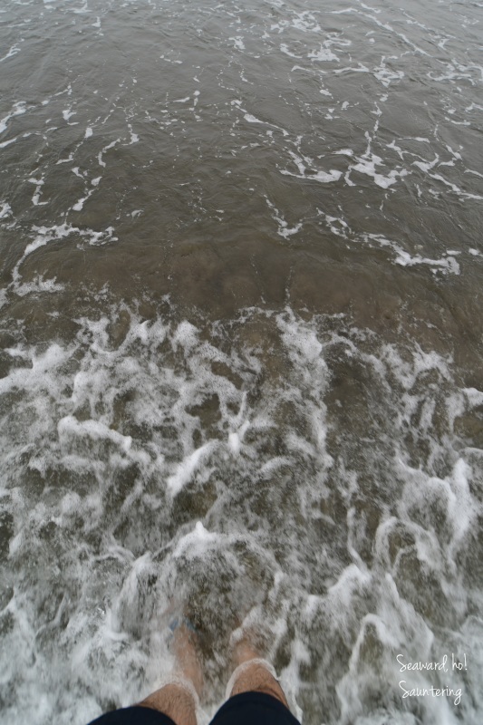 b0223512_23344685.jpg