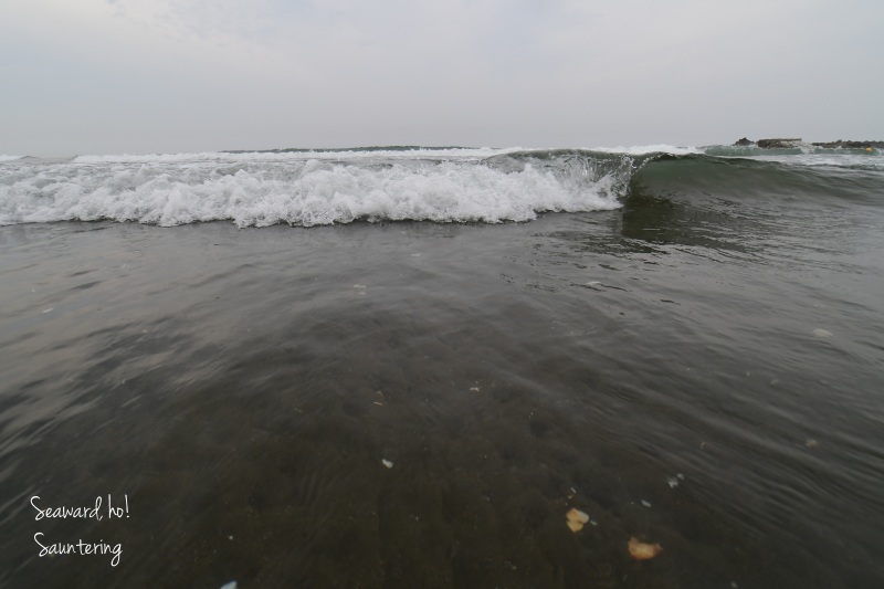 b0223512_23362750.jpg