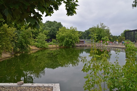 a0151913_210288.jpg
