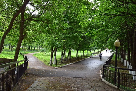 a0151913_2435571.jpg