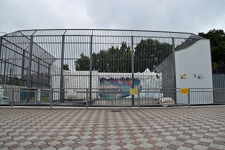 a0151913_28164.jpg